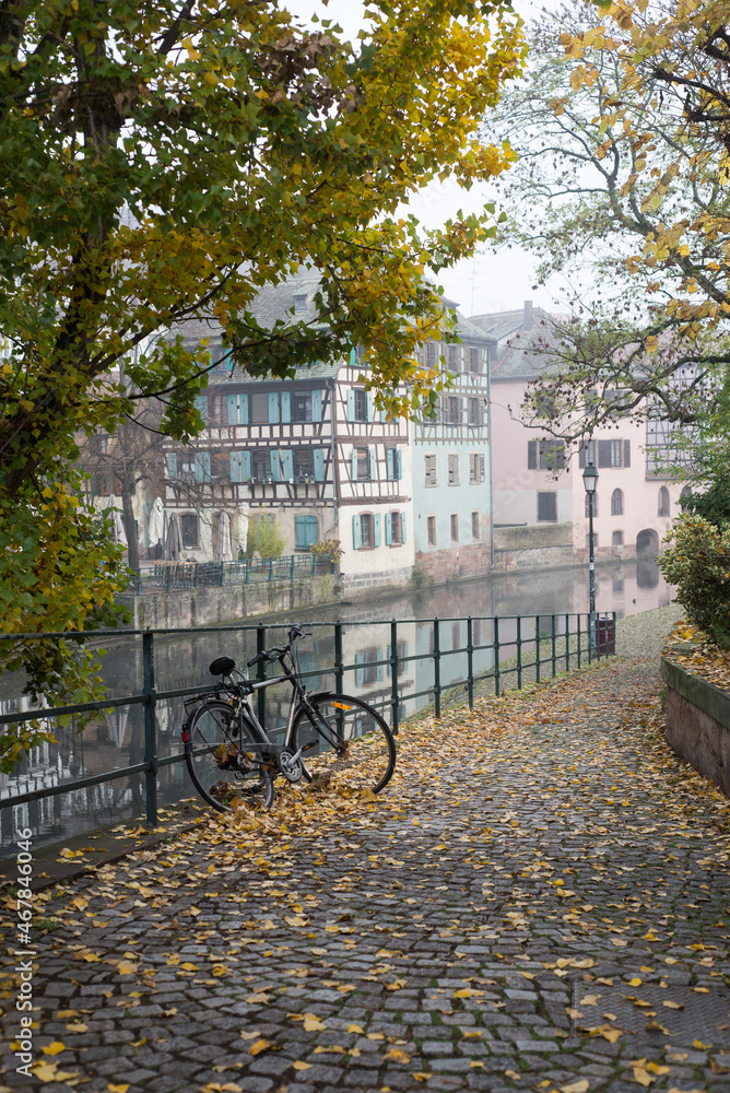 Strasbourg - France - 6 November 2021 - view of autumnal trees and bicycle in border the Il river at the little france quarter