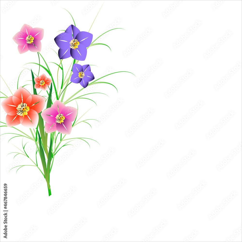 Naklejka premium beautiful flowers