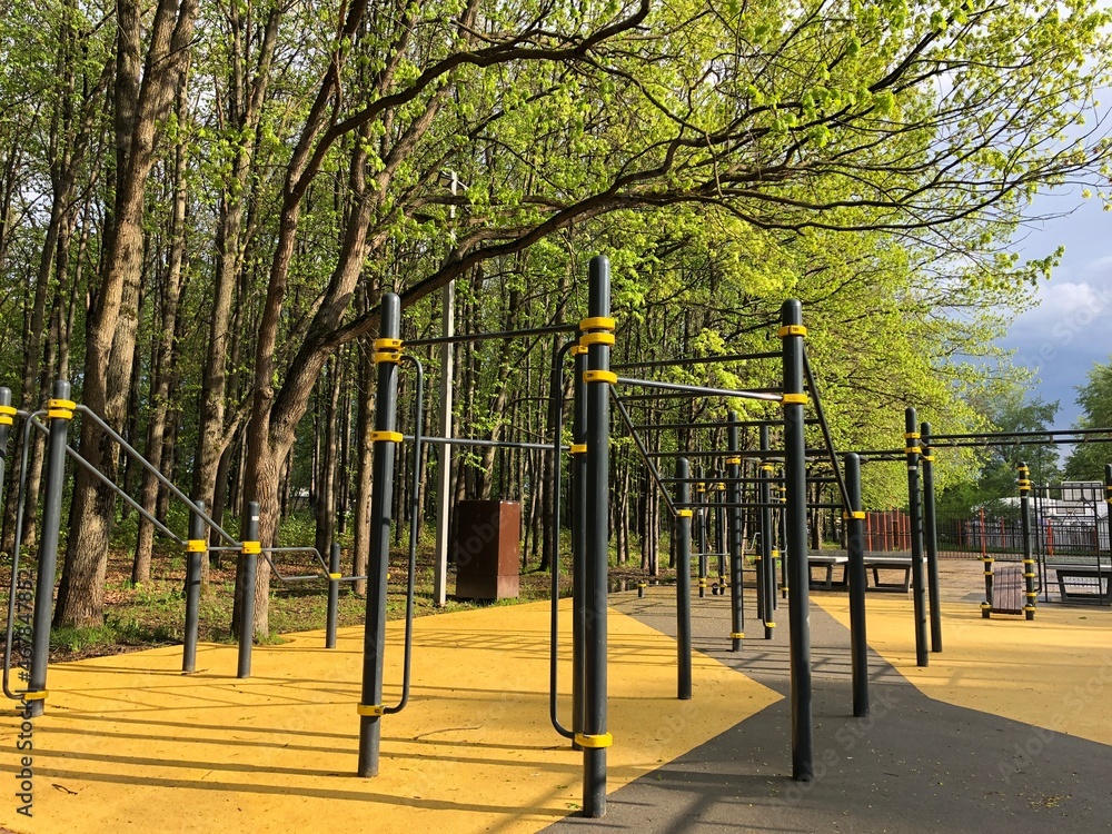 Fototapeta premium sports ground in summer among the trees sunny day