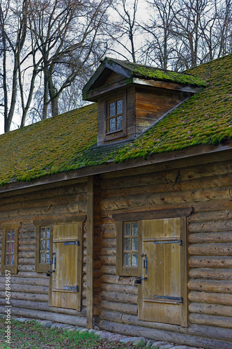 The mossy roof of a wooden building © EvgenyBelenkov
