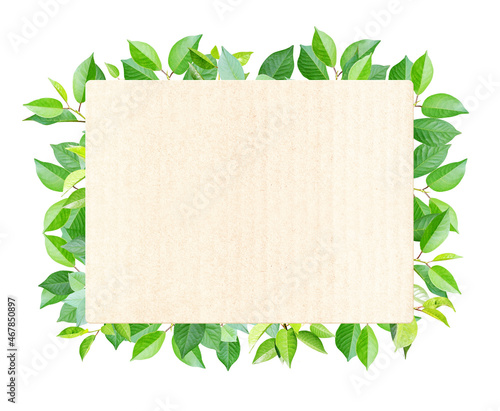 Green leaves and rectangular recycled paper label. Isolated on white background
