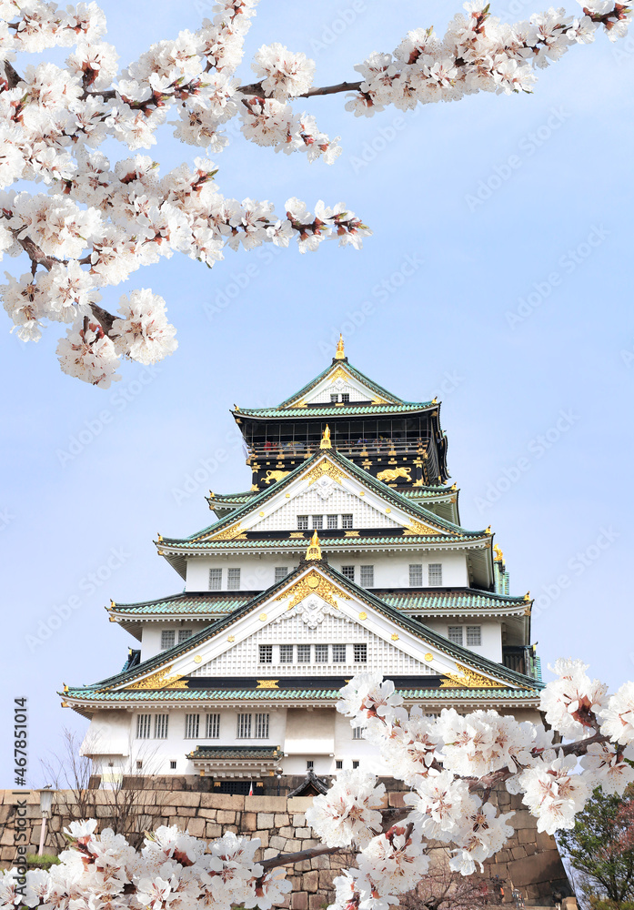 Branch of the blossoming sakura with white flowers and Osaka castle, Japan. Japanese hanami festival Branch of the blossoming sakura with white flowers and Osaka castle, Japan. Japanese hanami festival