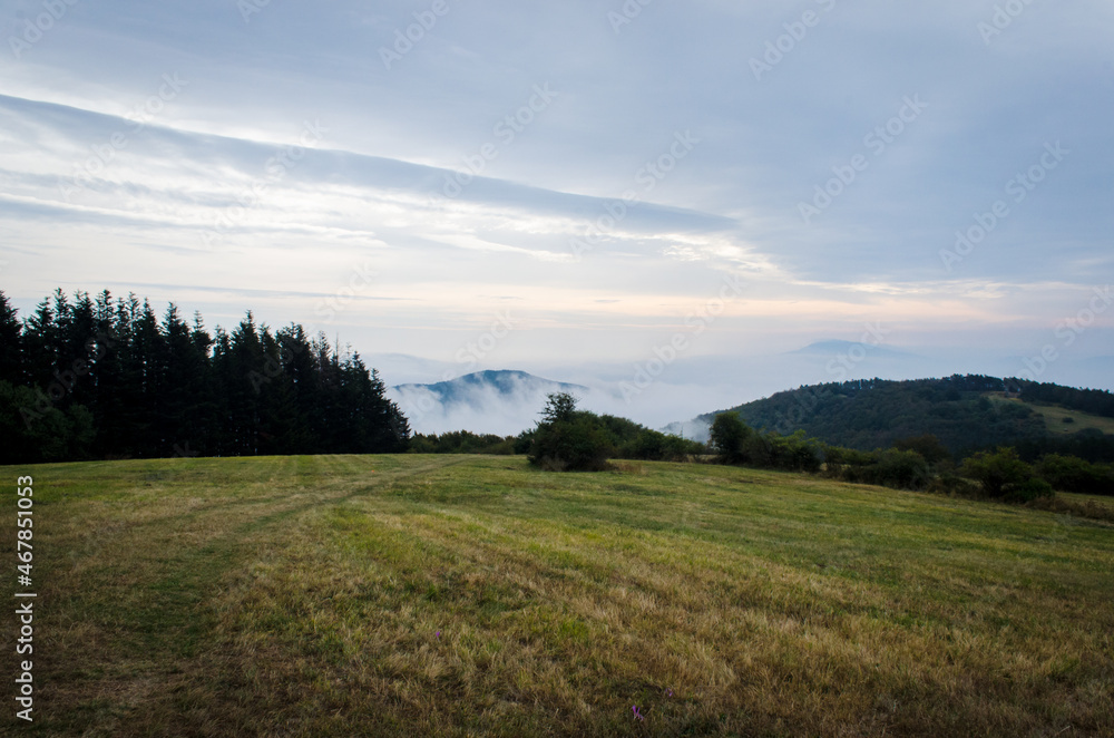 Obraz premium Camminando fra i boschi lungo la Via di Francesco