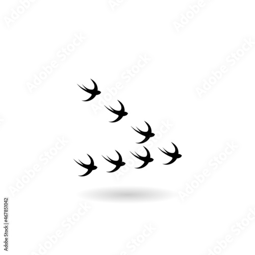 Birds flying icon with shadow