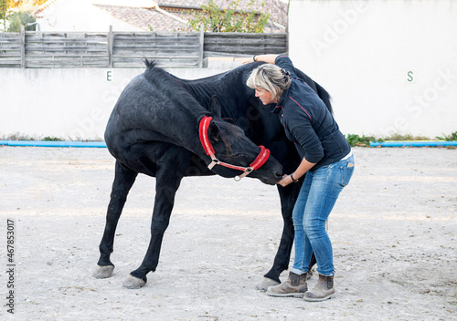 osteopath and horse