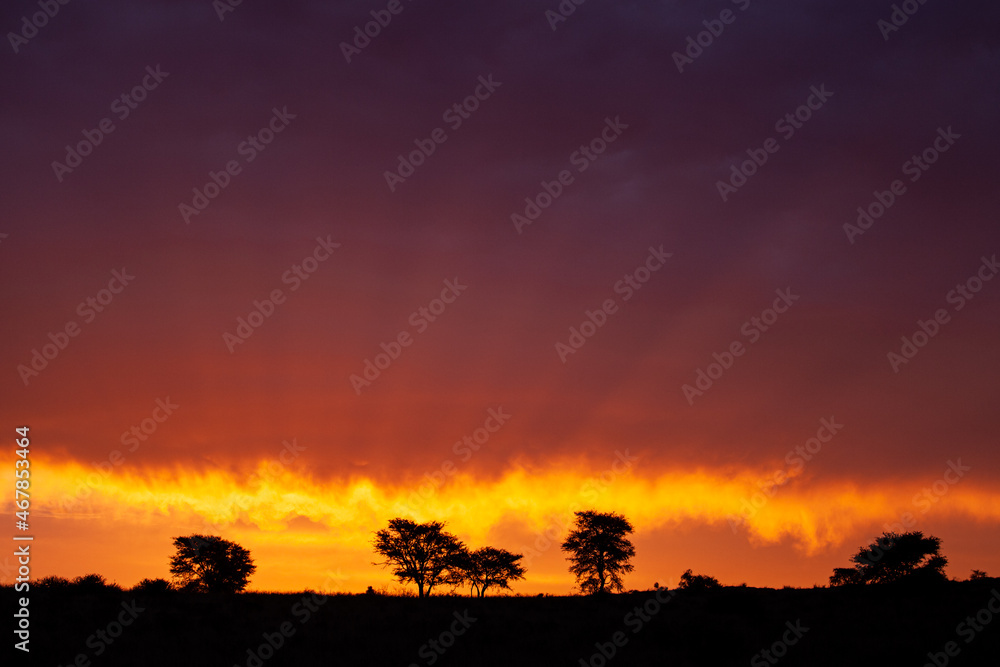 Kalahari Sunset in the Kgalagadi Transfrontier Park, South Africa Kalahari Sunset in the Kgalagadi Transfrontier Park, South Africa