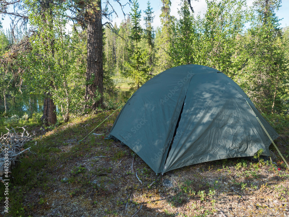 Small green tent in the wild beautiful Lapland nature forest landscape with small lake, creek, birch and spruce trees. Northern Sweden summer at Kungsleden hiking trail.