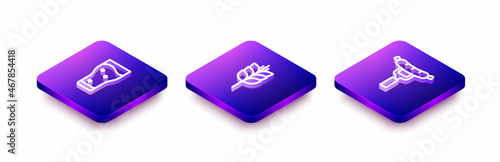 Set Isometric line Glass of beer, Wheat and Sausage on the fork icon. Vector