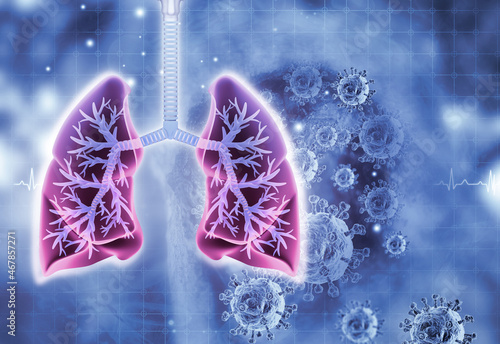 Fototapeta Naklejka Na Ścianę i Meble -  Human lungs anatomy on science background