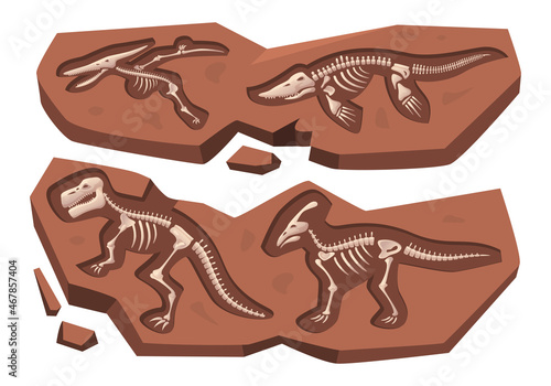 Archaeological dinosaur. History skull ancient rock marine fossil reptile buried exact vector cartoon set