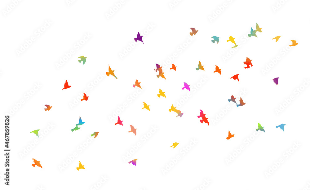 Colorful flying birds in the sky. Vector illustration