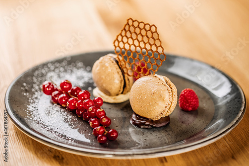 Studio shot of plate of gourmet macaroon cookies with red currant berries photo