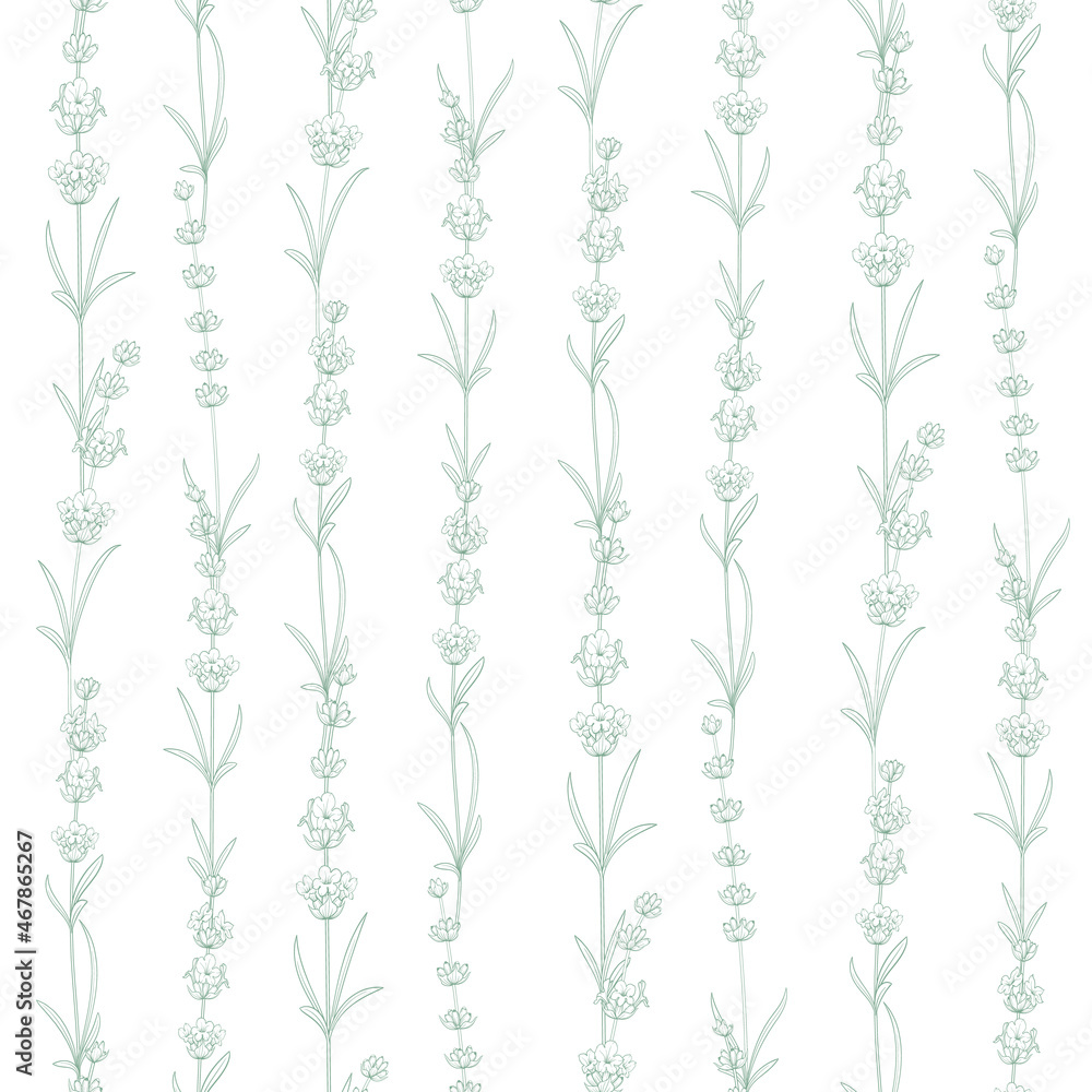 Seamless pattern from flowers of lavender on a white background. Seamless pattern from flowers of lavender on a white background.