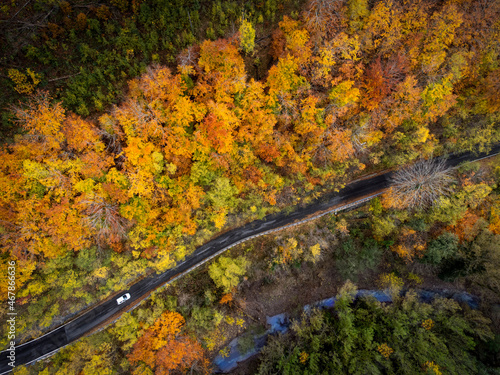 Alpi Apuane, Toscana: vista aerea di una strada immersa nei colori dell'autunno.