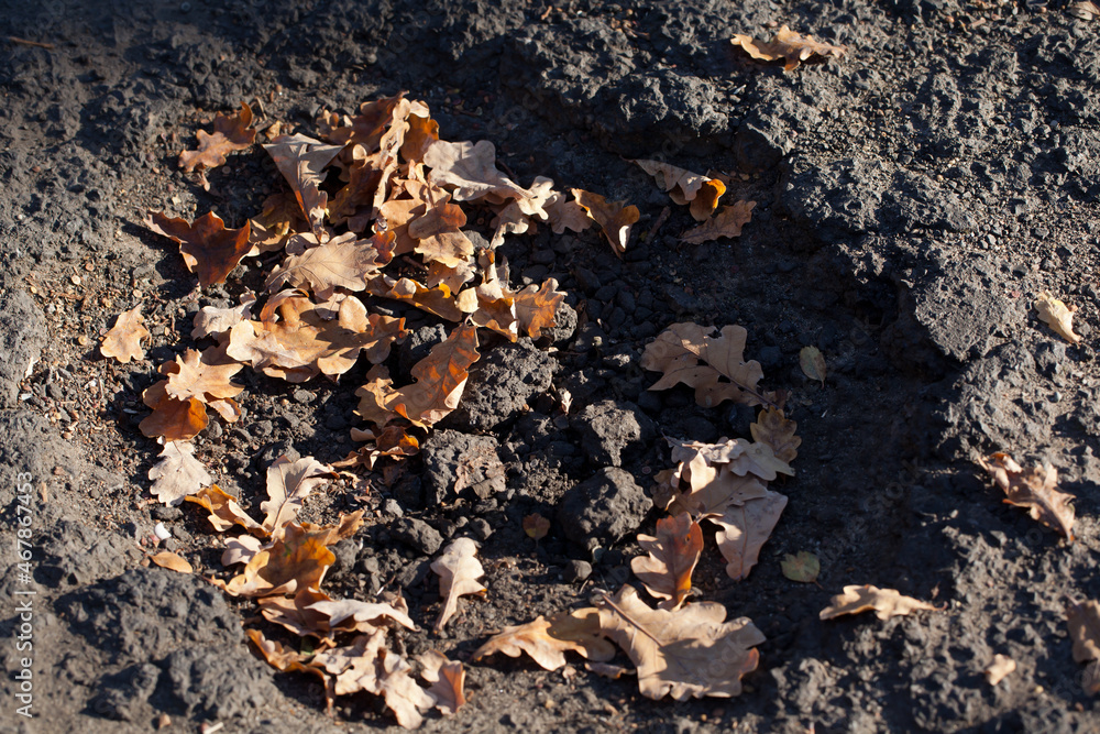 A hole in the asphalt on a street filled with autumn's fallen leaves. A hole in the asphalt on a street filled with autumn's fallen leaves.