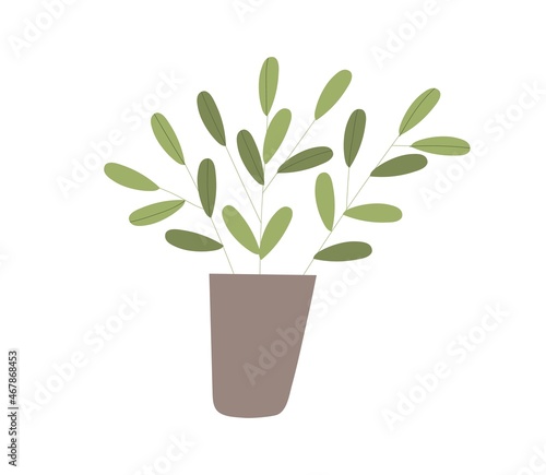Potted house plant. Green houseplant with leaves growing in flowerpot. Foliage interior decoration in planter. Cozy home decor with leaf. Colored flat vector illustration isolated on white background