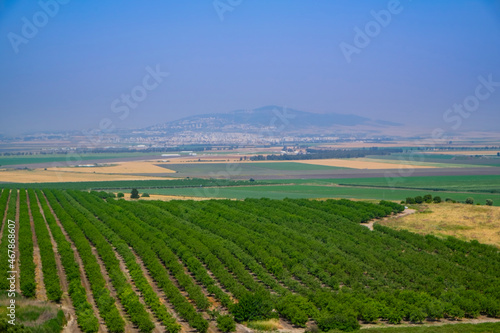 Israeli Golan Heights photo