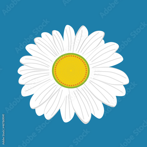 White chamomile flower. Vector object, simple flat design. Isolated on a blue background.