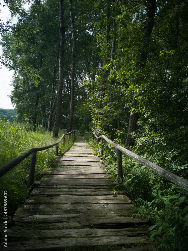 An old wooden footbridge over a moor on the Swabian Alb An old wooden footbridge over a moor on the Swabian Alb
