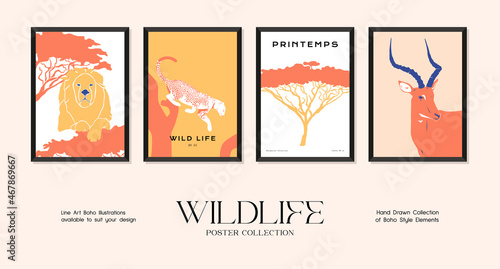 Wildlife minimalistic print poster collection