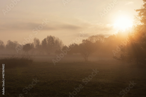Autumn forest landscape with fog and bright rays of the morning sun