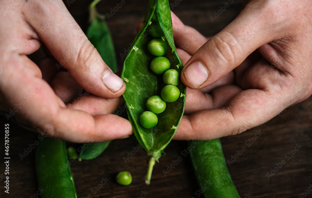 Close up of a man holding raw green peas Close up of a man holding raw green peas