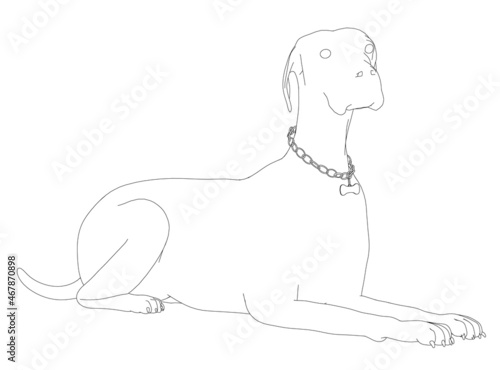 Contour of a lying dog from black lines isolated on a white background. Vector illustration