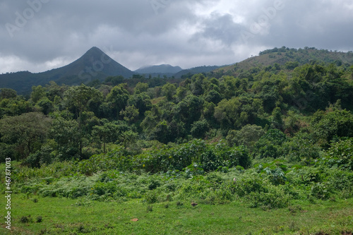 Paysages dans la campagne du mont Manengoubas au Cameroun