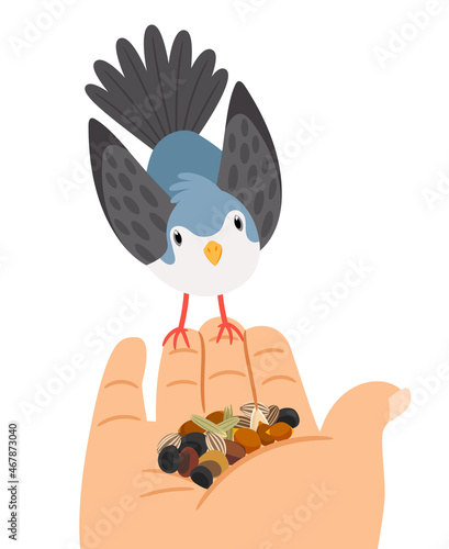 Bird hand feeding. Birds feed amazing relax, grains meal birdie help, good morning fowl grain food vector illustration