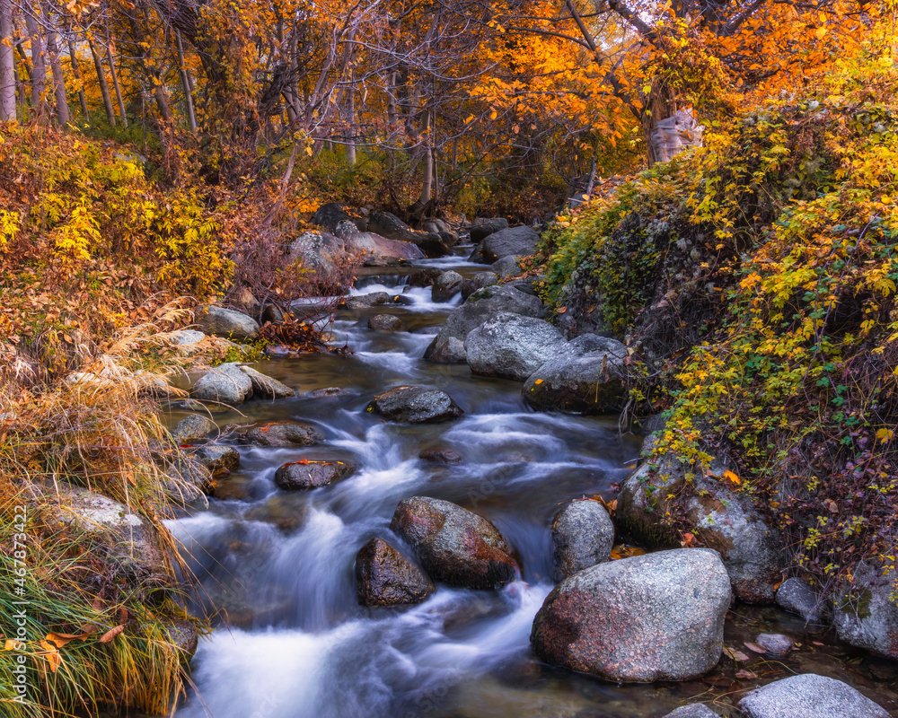 waterfall in autumn forest