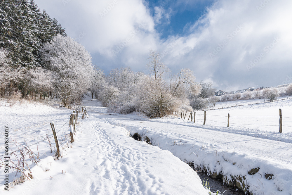 Obraz premium Winterlandschaft mit schneebedeckten Bäumen und Sträuchern bei blauem Himmel.