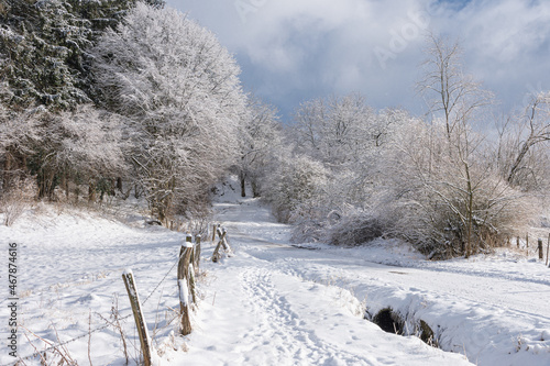 Winterlandschaft mit schneebedeckten Bäumen und Sträuchern bei blauem Himmel.