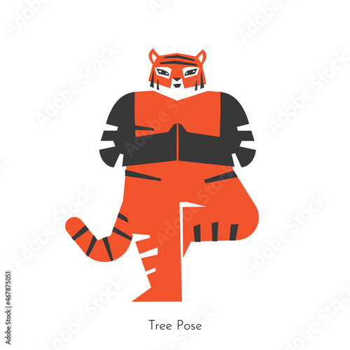 Vector flat isolated illustration with animal character. Asian tiger learns relaxing posture and does tree pose at yoga class. Basic standing balance exercise for beginners