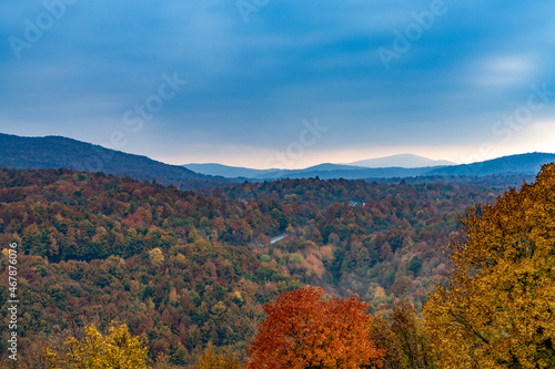 colorful autumn forest in hilly mountain landscape in the backcountry of Croatia