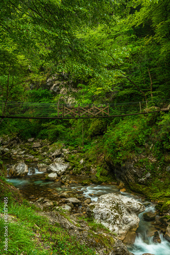 Tolmin Gorge Deep River Canyon in Slovenia Soca Valley. Wild Nature Landscape in Europe