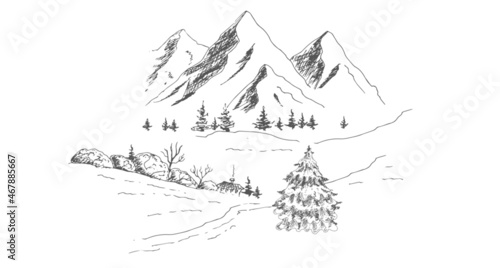 Christmas  New Year landscape with mountain. Vector illustration  sketch  drawing.