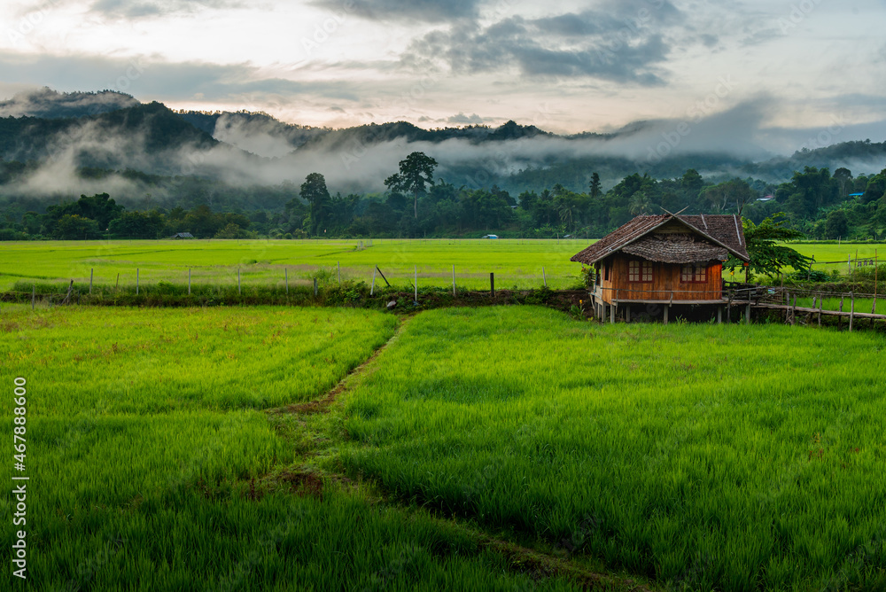 Lonely house that build from wooden as Asian style on paddy field, Thailand