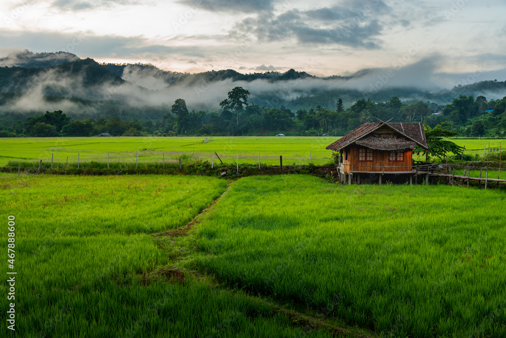 Lonely house that build from wooden as Asian style on paddy field, Thailand Lonely house that build from wooden as Asian style on paddy field, Thailand