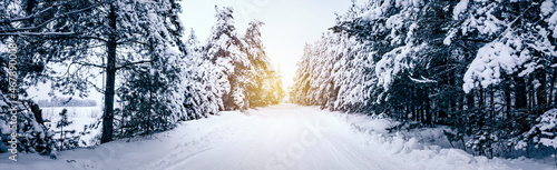 beautiful winter landscape with a snow-covered road in the forest