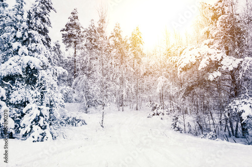 beautiful winter landscape with a snow-covered road in the forest