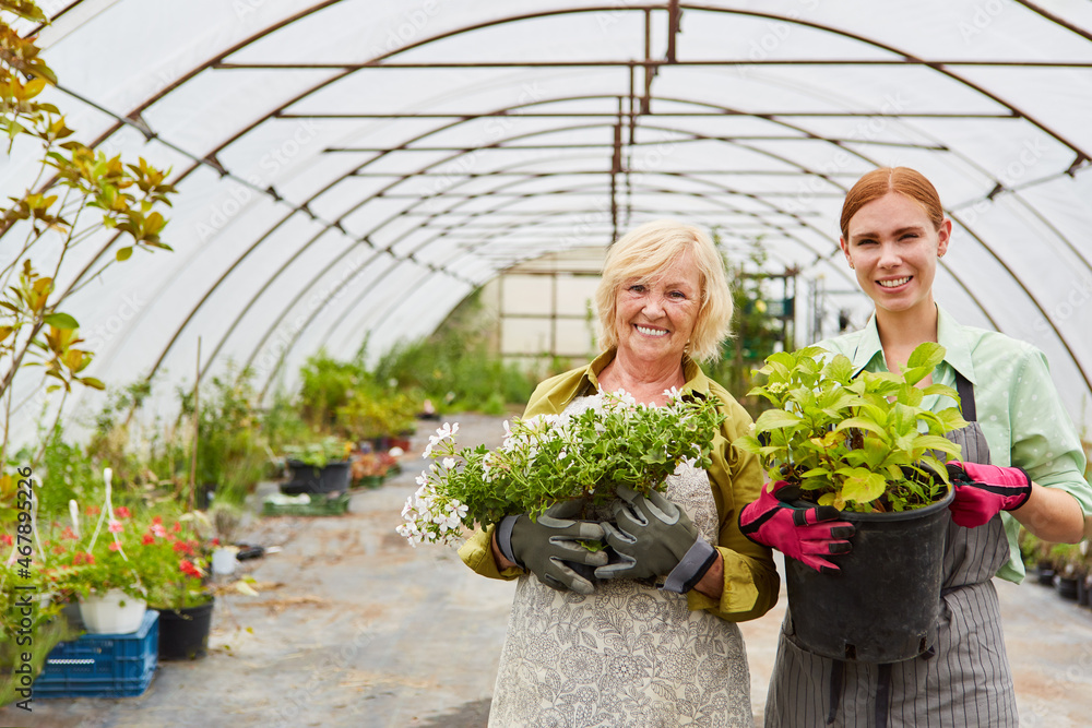 Gärtner Team mit Azubi mit einer Blumen Bestellung Stock Photo Adobe