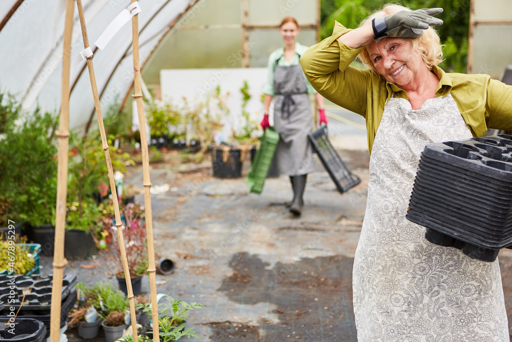 Foto de Gärtner Team beim Umtopfen von Blumen in Gärtnerei do Stock