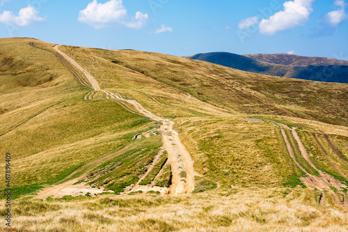 tourist path winding uphill the mountain ridge. carpathian landscape with grassy alpine meadows on a sunny day in early autumn