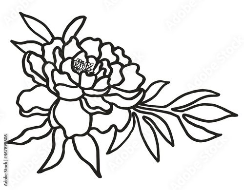 Black and white line drawing of peony flower for coloring page. Simple vector outline illustration of floral design element