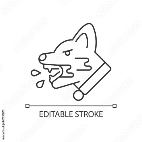 Rabies linear icon. Viral pet disease. Virus transmitted through bite. Animal infection. Thin line customizable illustration. Contour symbol. Vector isolated outline drawing. Editable stroke