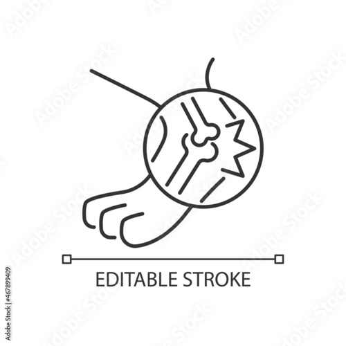 Arthritis linear icon. Pet joints inflammation. Animal disease. Lameness and stiffness symptoms. Thin line customizable illustration. Contour symbol. Vector isolated outline drawing. Editable stroke