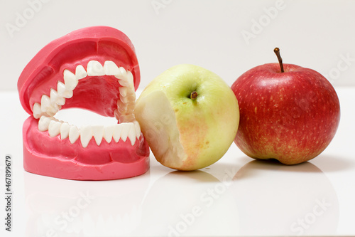 Layout of the human jaw and bitten apple beside it.