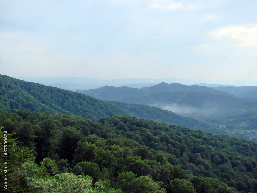 Panorama of beech forests on the slopes of the hills against a cloudy sky and mountain ranges on the horizon.