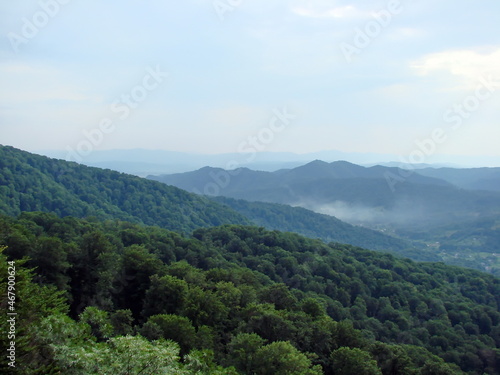 Panorama of beech forests on the slopes of the hills against a cloudy sky and mountain ranges on the horizon.