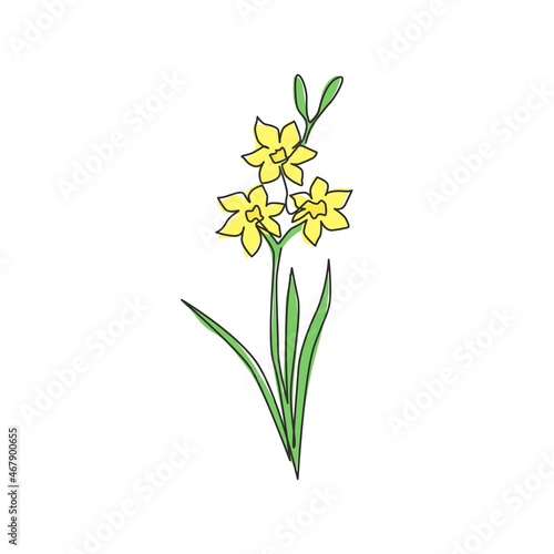 Fototapeta Naklejka Na Ścianę i Meble -  Single continuous line drawing of beauty fresh narcissus for home wall decor art poster print. Printable decorative daffodil flower for card ornament. Modern one line draw design vector illustration